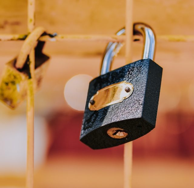 didssph-Krdobt7wN9Y-unsplash didssph-Krdobt7wN9Y-unsplash